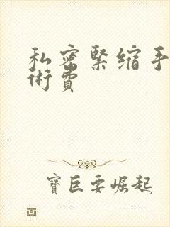 私密紧缩手术手术费