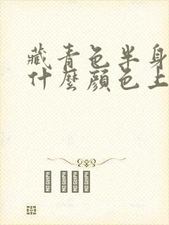 藏青色半身裙配什么颜色上衣好看