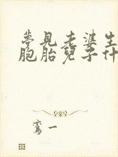 梦见老婆生了双胞胎儿子什么预兆