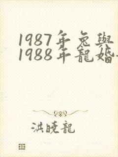 1987年兔与1988年龙婚姻是否相配