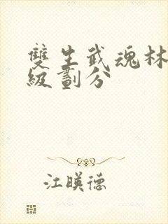 双生武魂林凡等级划分