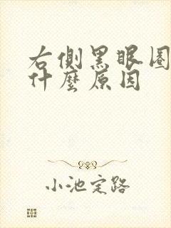 右侧黑眼圈重是什么原因