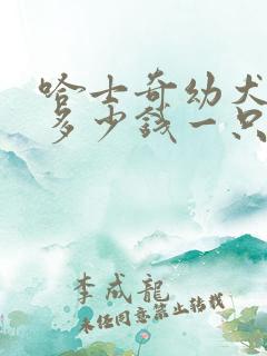 哈士奇幼犬需要多少钱一只