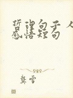 哲理句子 人生感悟短句