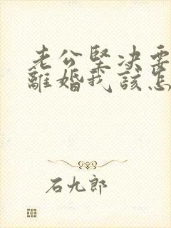 老公坚决要跟我离婚我该怎么办