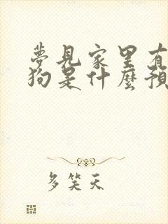 梦见家里有好多狗是什么预兆