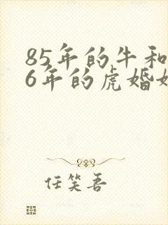 85年的牛和86年的虎婚姻