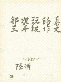 那次玩的真开心三年级作文300多字