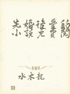 先婚后爱的军婚小说免费阅读全文