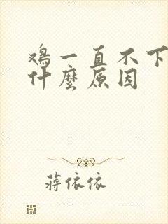 鸡一直不下蛋是什么原因