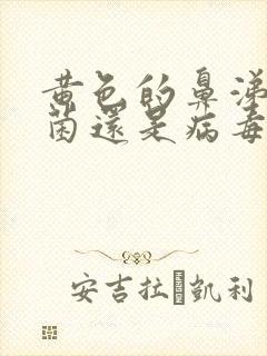 黄色的鼻涕是细菌还是病毒