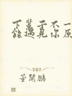 下辈子不一定还能遇见你原唱