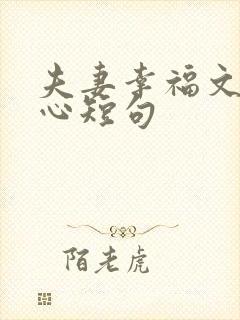 夫妻幸福文案暖心短句