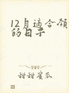 12月适合领证的日子