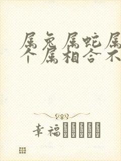 属兔属蛇属龙三个属相合不合财