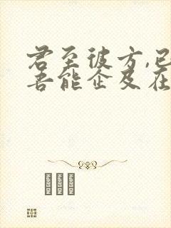 君至彼方,已非吾能企及在线观看