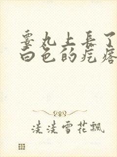 睾丸上长了一个白色的疙瘩