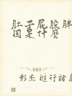 肚子屁股胖的原因是什么