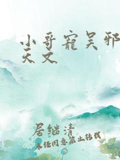 小哥宠吴邪宠上天文
