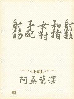 射手女和射手男的配对指数