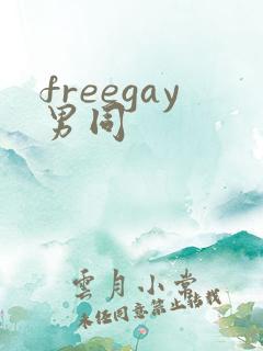freegay男同