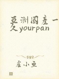 亚洲国产一区久久yourpan