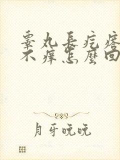 睾丸长疙瘩不疼不痒怎么回事