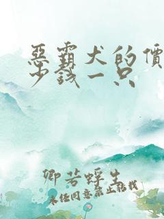 恶霸犬的价格多少钱一只