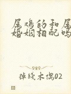 属鸡的和属狗的婚姻相配吗