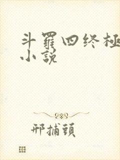 斗罗四终极斗罗小说