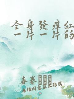 全身发痒红疙瘩一片一片的