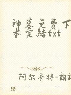 神墓免费下载全本完结txt