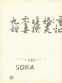 九零暖婚:重生甜妻撩夫忙 免费看