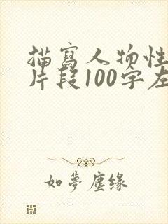 描写人物性格的片段100字左右