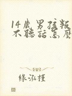 14岁男孩叛逆不听话怎么办