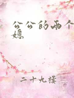 公公的两个好儿媳