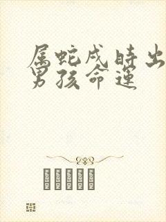 属蛇戌时出生的男孩命运