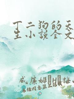 丁二狗的天梯人生小说全文免费阅读