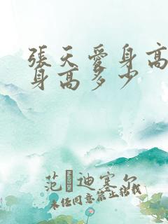 张天爱身高实际身高多少