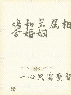 鸡和羊属相合不合婚姻