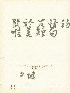 关于友情的句子唯美短句