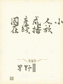 国产成人小视频在线播放