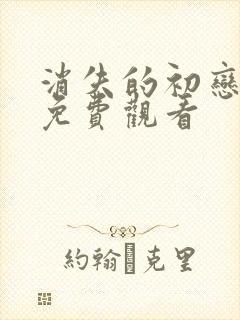 消失的初恋日剧免费观看