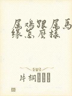 属鸡跟属马的姻缘怎么样