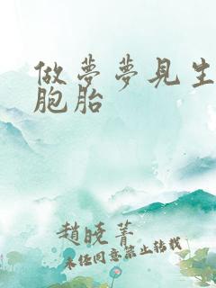 做梦梦见生了双胞胎