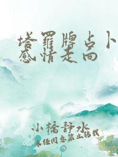 塔罗牌占卜最近感情走向