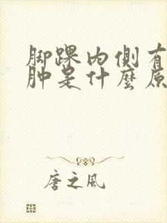 脚踝内侧有点浮肿是什么原因