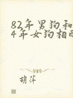 82年男狗和94年女狗相配婚姻如何