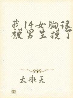 我14女胸很大被男生摸了