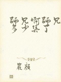 师兄啊师兄出了多少集了